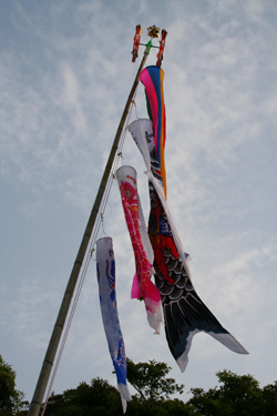 2006-may-koinobori.jpg