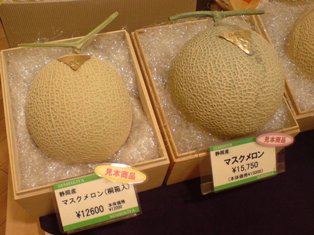 Japanese Melon