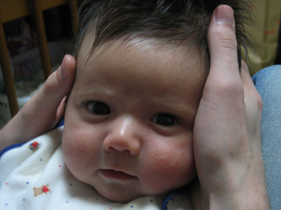 noa-jan2006.jpg