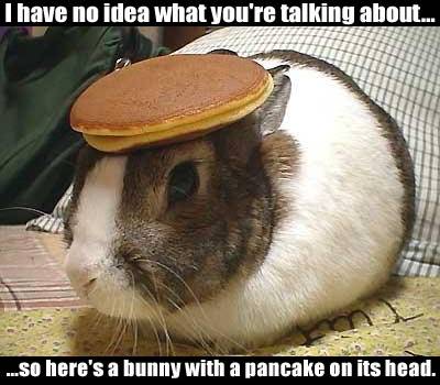 A bunny with a pancake on his head