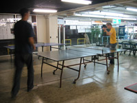 Ping Pong Picture