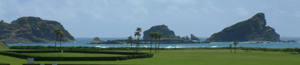 A nice picture of Tanegashima